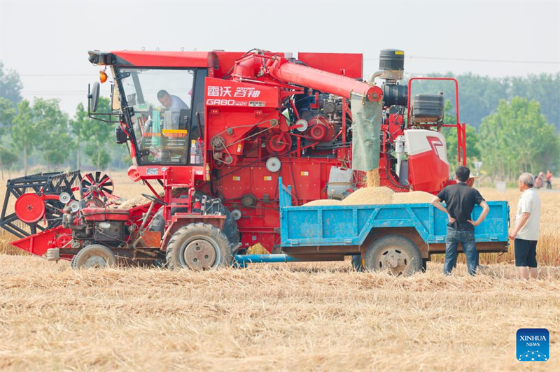 Henan prepara temporada da colheita de trigo