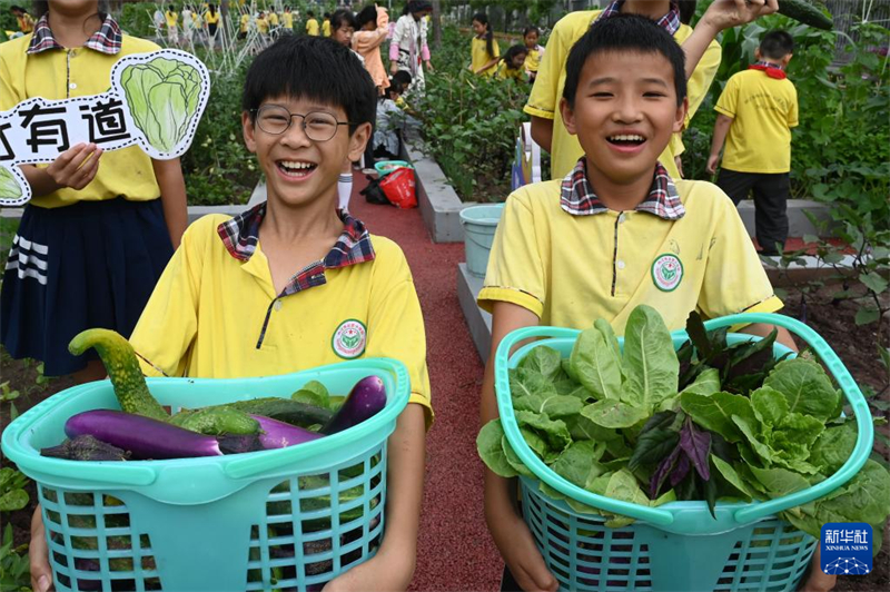 China realiza atividades infantis em todo o país para celebrar Dia Internacional da Criança