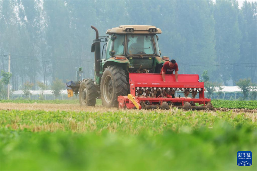 China inicia alta temporada de semeadura de verão