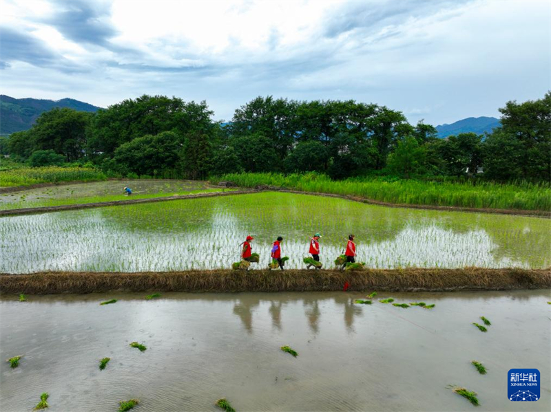 Províncias chinesas registram recuperação gradual após desastres naturais