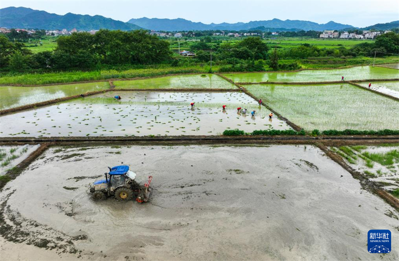 Províncias chinesas registram recuperação gradual após desastres naturais