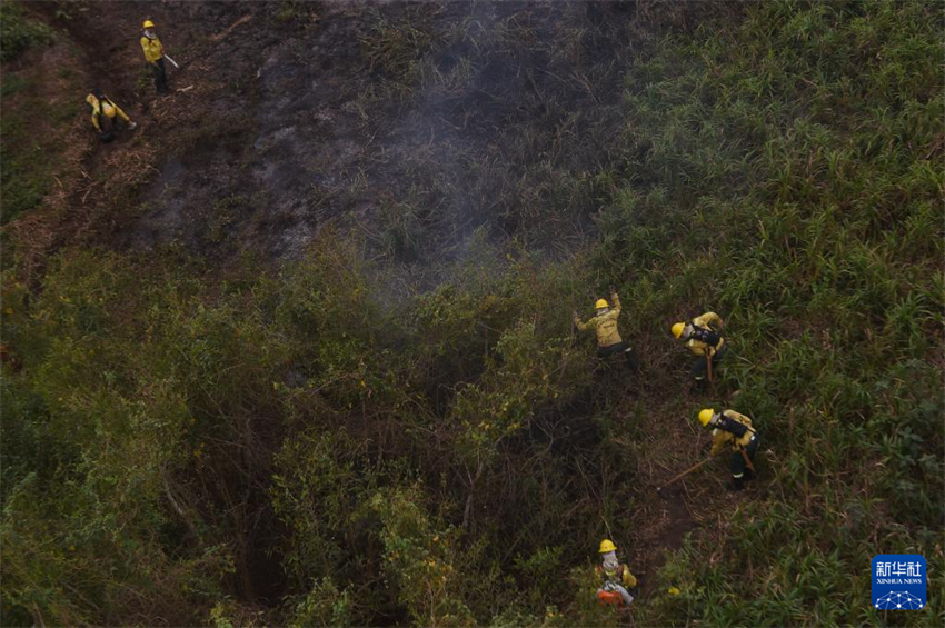 Brasil: Corpo de Bombeiros realiza combate aos incêndios no Pantanal