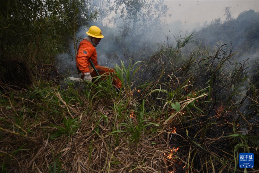 Brasil: Corpo de Bombeiros realiza combate aos incêndios no Pantanal