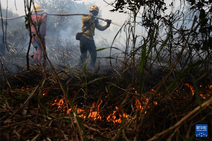 Brasil: Corpo de Bombeiros realiza combate aos incêndios no Pantanal