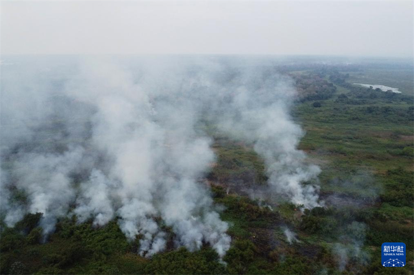 Brasil: Corpo de Bombeiros realiza combate aos incêndios no Pantanal