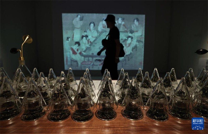 Exposição de patrimônio cultural imaterial e obras contemporâneas da China é inaugurada em Paris