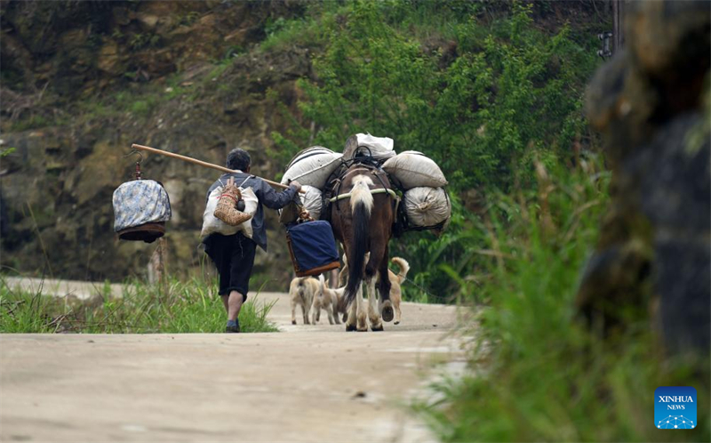 Aldeia do grupo étnico Miao na China promove revitalização rural para maior desenvolvimento