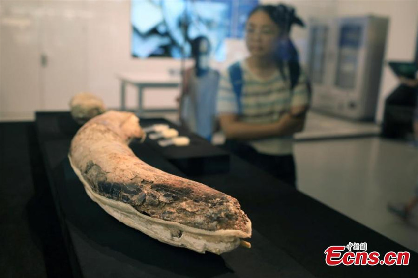 Museu de Sanxingdui em Sichuan exibe artefatos recém-descobertos