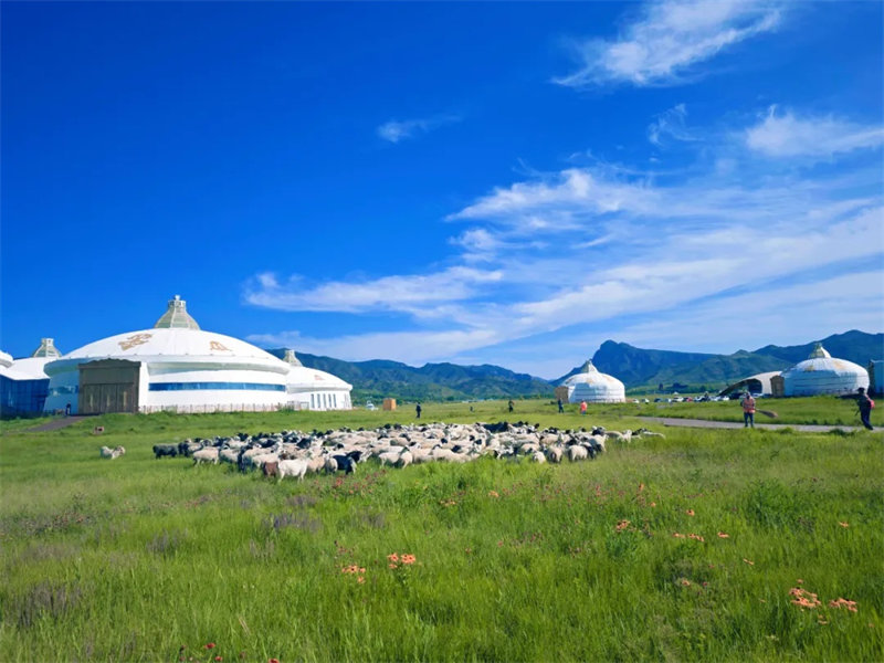 Hohhot, famosa cidade histórica na Rota do Chá