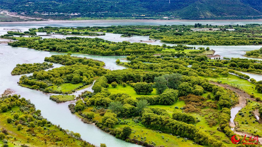 Galeria: Parque Nacional de Pantanais de Yani