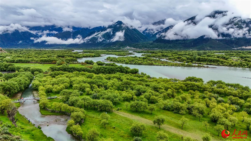 Galeria: Parque Nacional de Pantanais de Yani