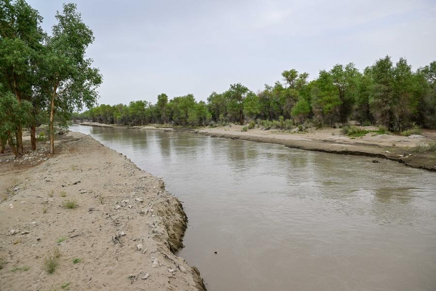 Xinjiang toma medidas de controle de inundações do rio Tarim