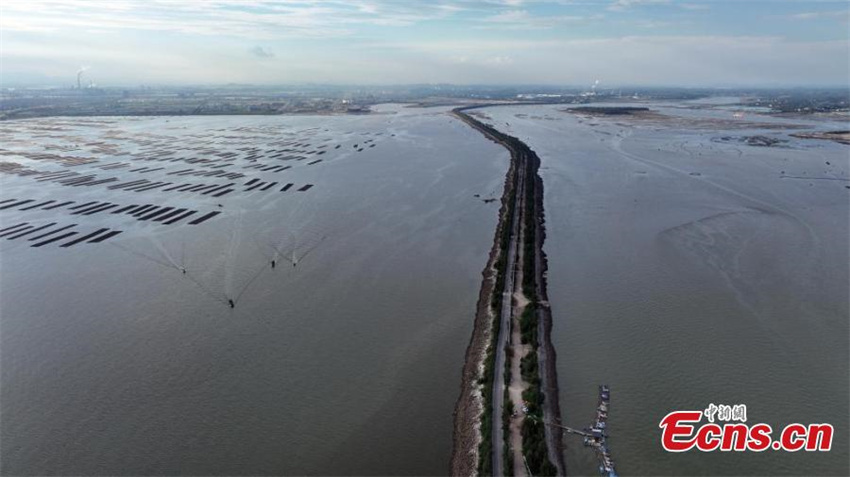 Guangxi: paisagem maravilhosa da estrada sobre o mar