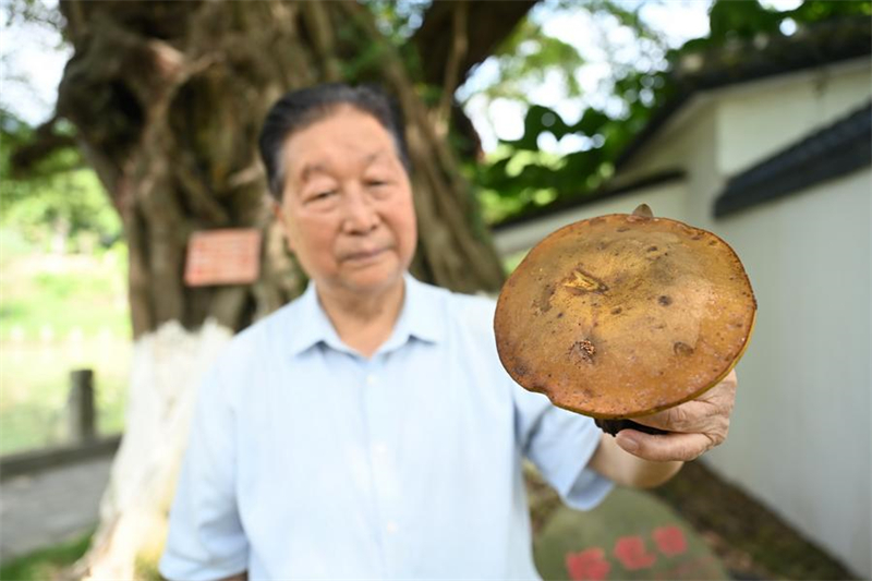 Inovadores chineses da tecnologia 