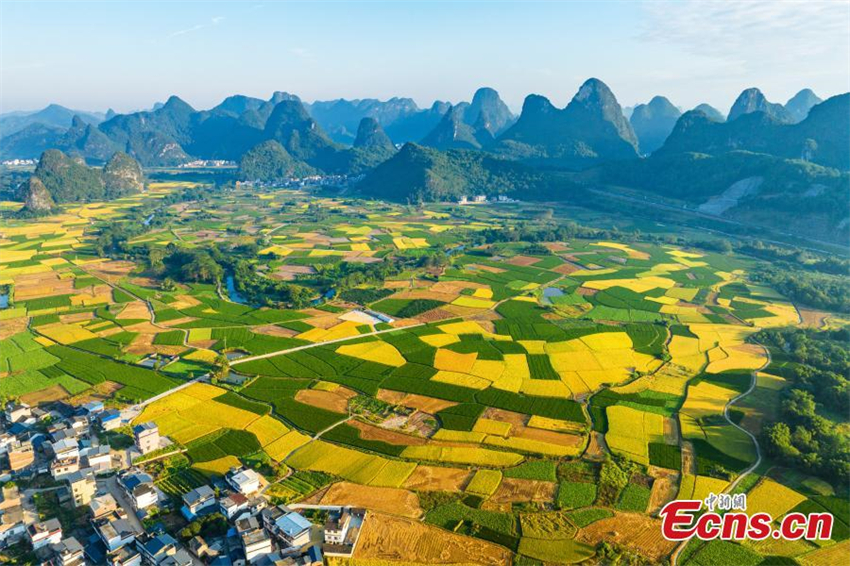 Galeria: paisagem de arrozais em Guangxi