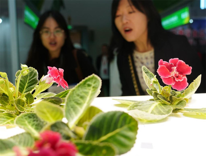 Conferência Mundial de Inovação Agroalimentar de 2024 é realizada em Beijing