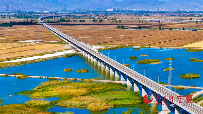 Galeria: colheita abundante ao longo da ferrovia de alta velocidade Baotou-Yinchuan