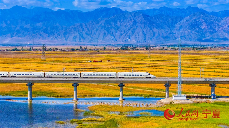 Galeria: colheita abundante ao longo da ferrovia de alta velocidade Baotou-Yinchuan