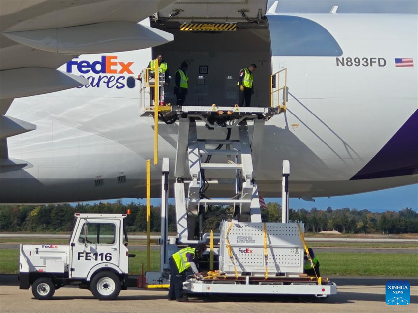 Dois pandas gigantes da China chegam a Washington, D.C.