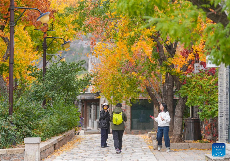 Paisagem de outono em Beijing