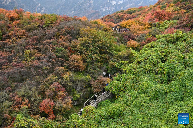 Paisagem de outono em Beijing