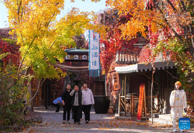 Paisagem de outono em Beijing