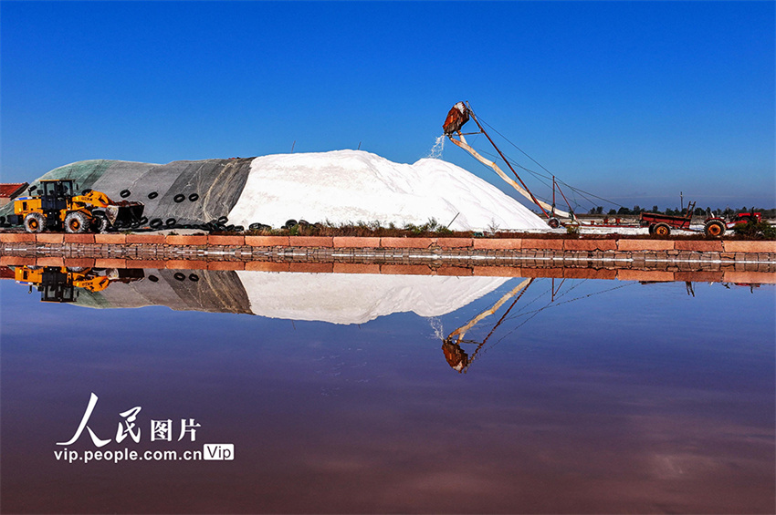 Galeria: coleta de sal marinho em Shandong