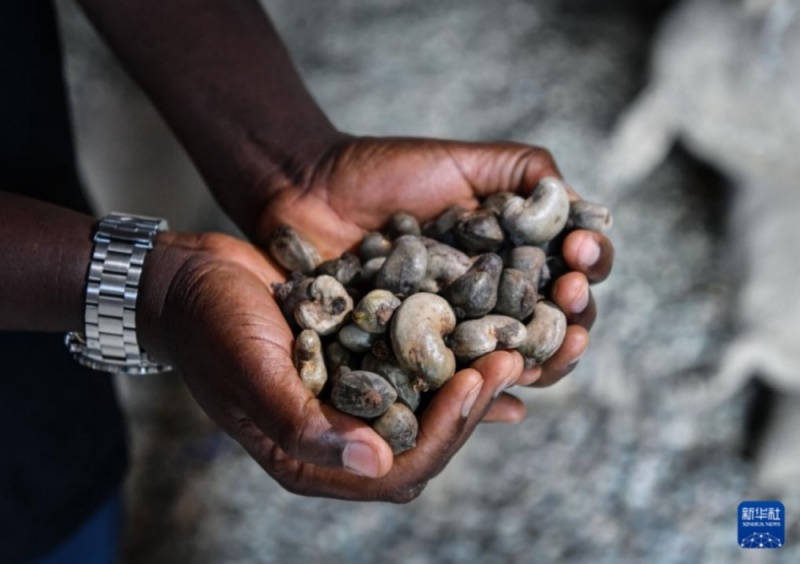 CIIE oferece oportunidade comercial para Guiné-Bissau