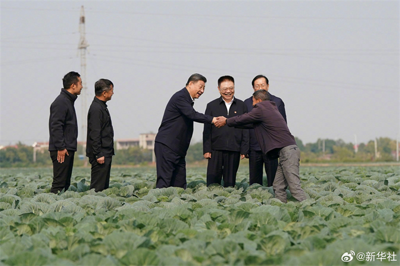 Xi Jinping pede aceleração da vitalização rural