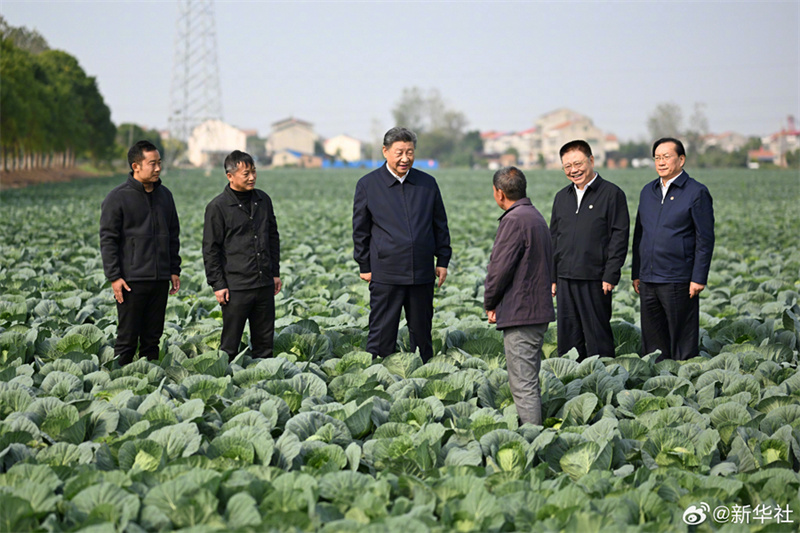 Xi Jinping pede aceleração da vitalização rural