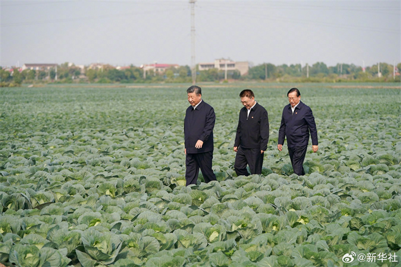 Xi Jinping pede aceleração da vitalização rural