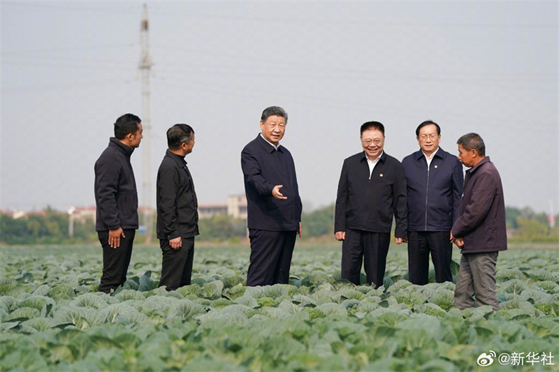 Xi Jinping pede aceleração da vitalização rural