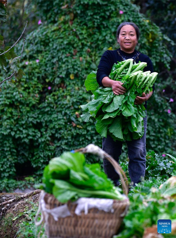 Linha especial de ônibus ajuda moradores a vender produtos agrícolas em Guizhou