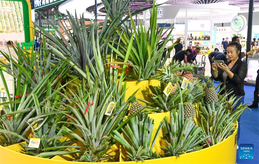 27ª Feira Internacional de Inverno da China (Hainan) inaugura em Haikou