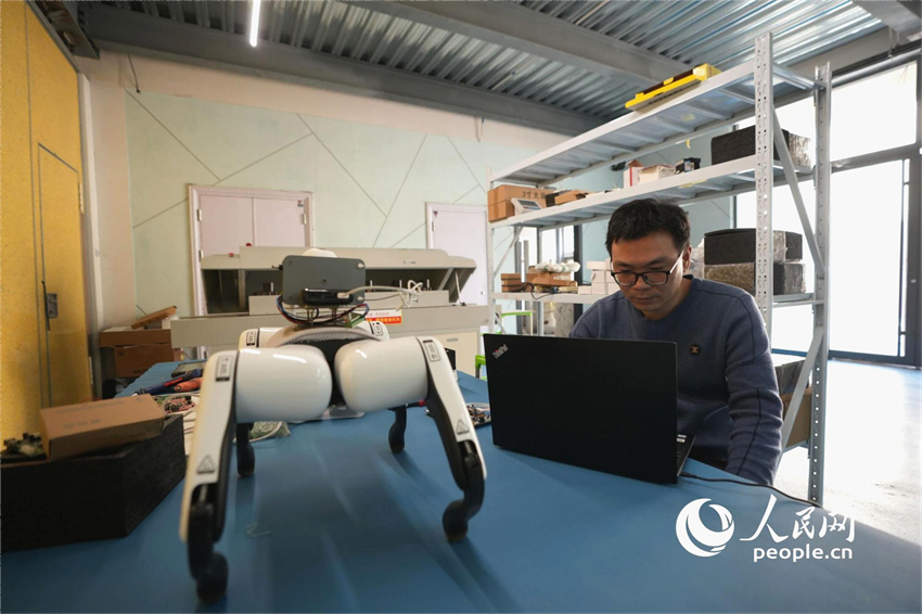 Cão-robô com inteligência artificial utilizado em estufas de vegetais em Shandong