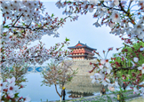 Luoyang: arquitetura antiga se cruza com a chegada da primavera