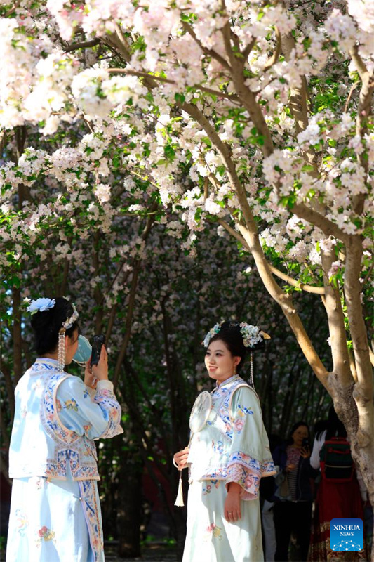 Chegada da primavera impulsiona turismo em toda a China