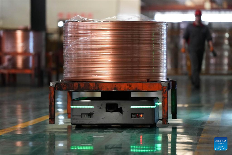 Zhuji promove desenvolvimento de qualidade no setor privado