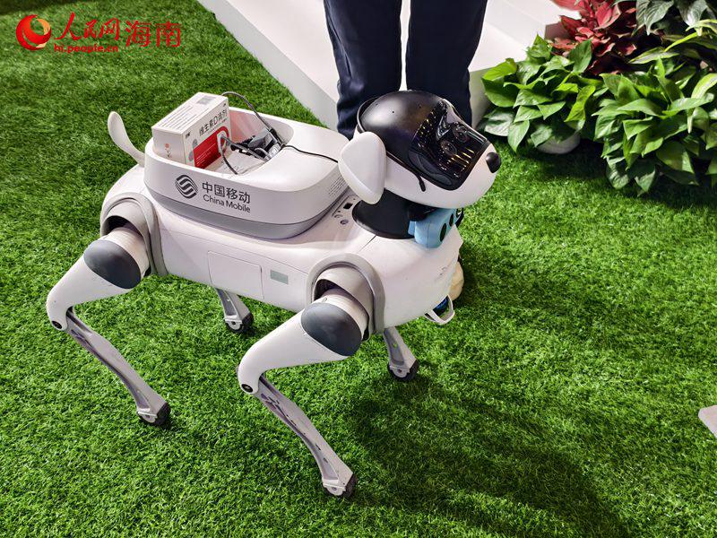 Exposição Internacional de Produtos de Consumo da China: tecnologias de IA em destaque