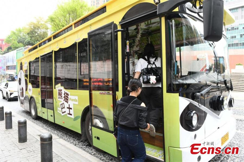 Ônibus com tema de panda estreia em Chongqing