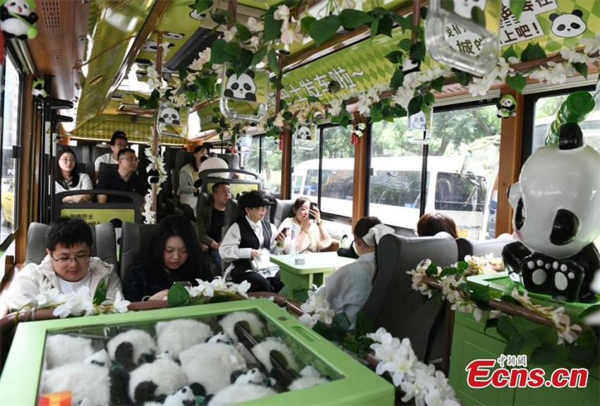 Ônibus com tema de panda estreia em Chongqing