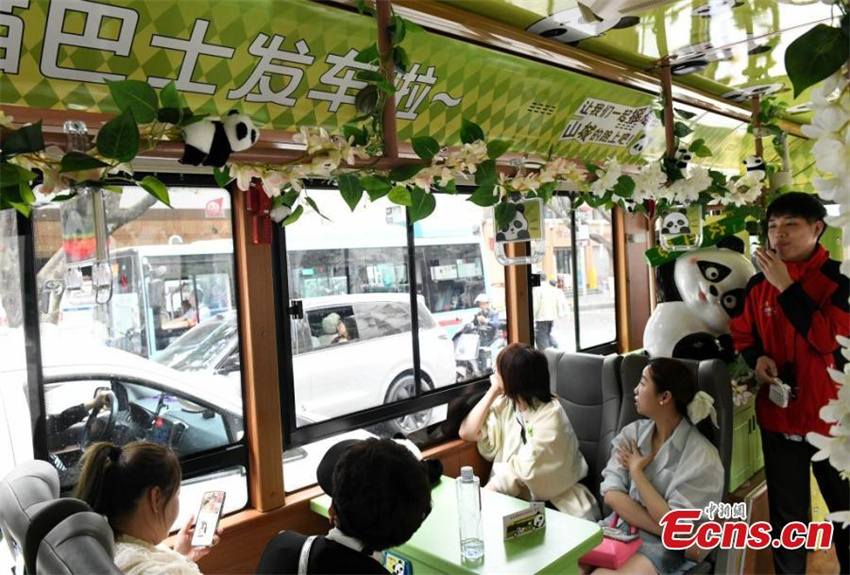 Ônibus com tema de panda estreia em Chongqing