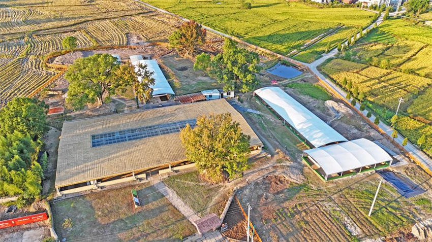 Principais descobertas arqueológicas chinesas para 2024 são reveladas
