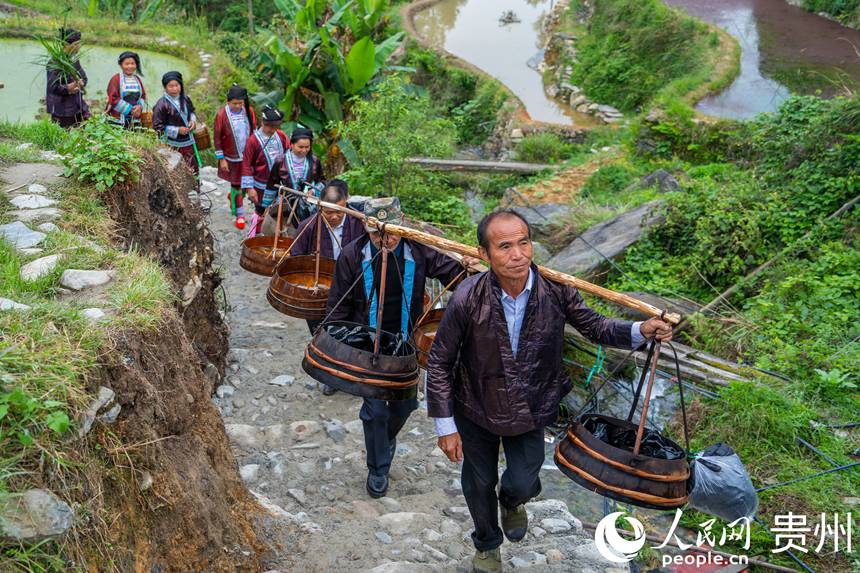 Guizhou: cerimônia tradicional assinala início da colheita nos arrozais de Jiabang