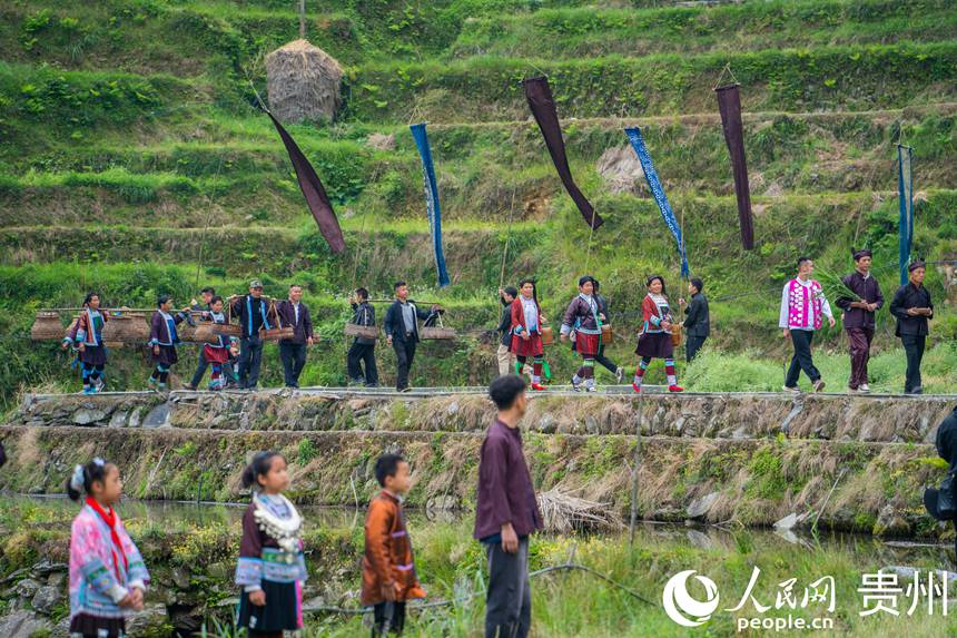 Guizhou: cerimônia tradicional assinala início da colheita nos arrozais de Jiabang