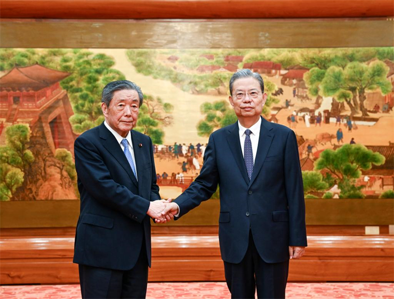 Chefe do Legislativo chinês reúne-se com presidente da União dos Parlamentares da Amizade Japão-China