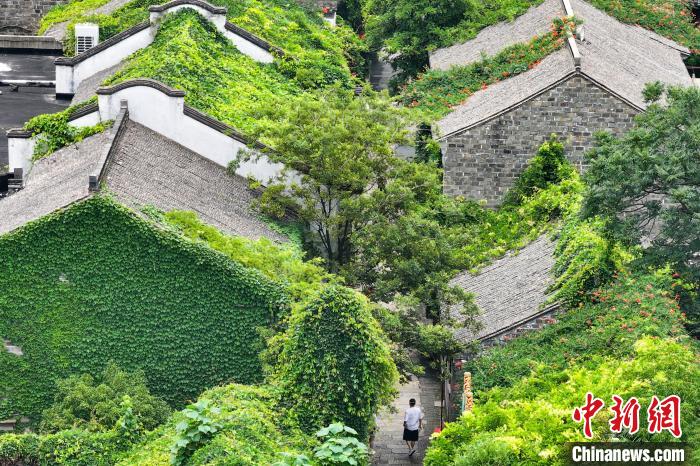 Prédios antigos em Nanjing estão cobertos de verde