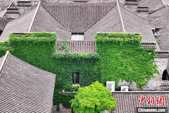 Prédios antigos em Nanjing estão cobertos de verde