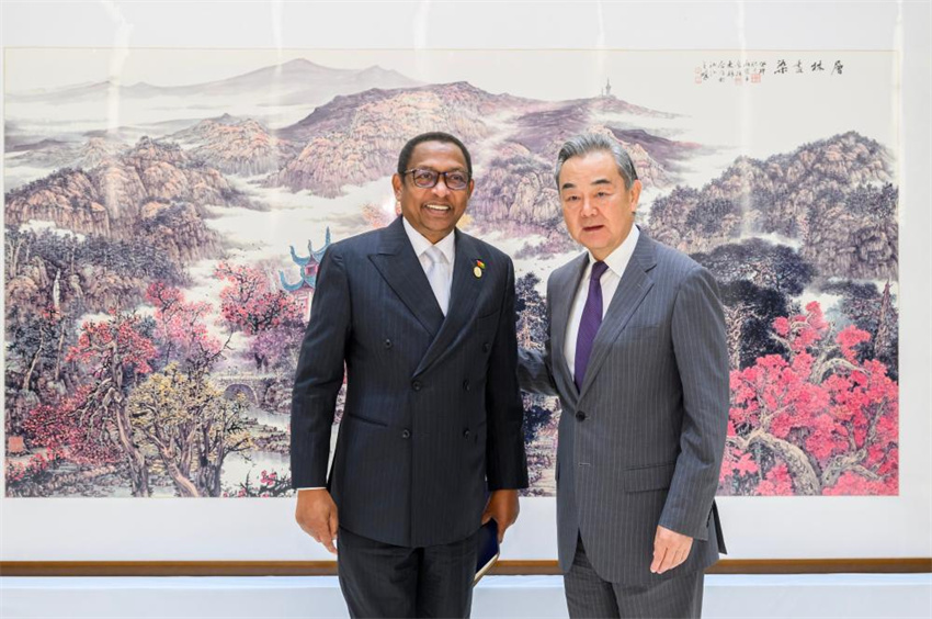 Ministros das Relações Exteriores da China e da África prometem laços mais fortes