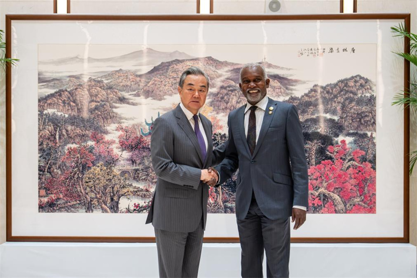 Ministros das Relações Exteriores da China e da África prometem laços mais fortes